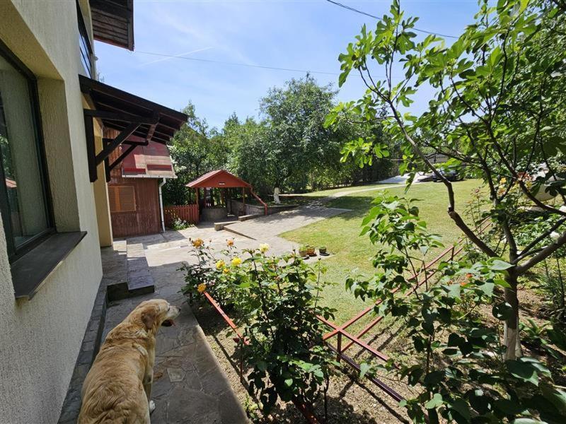 Villa Casa Afrento à Patarlagele Extérieur photo